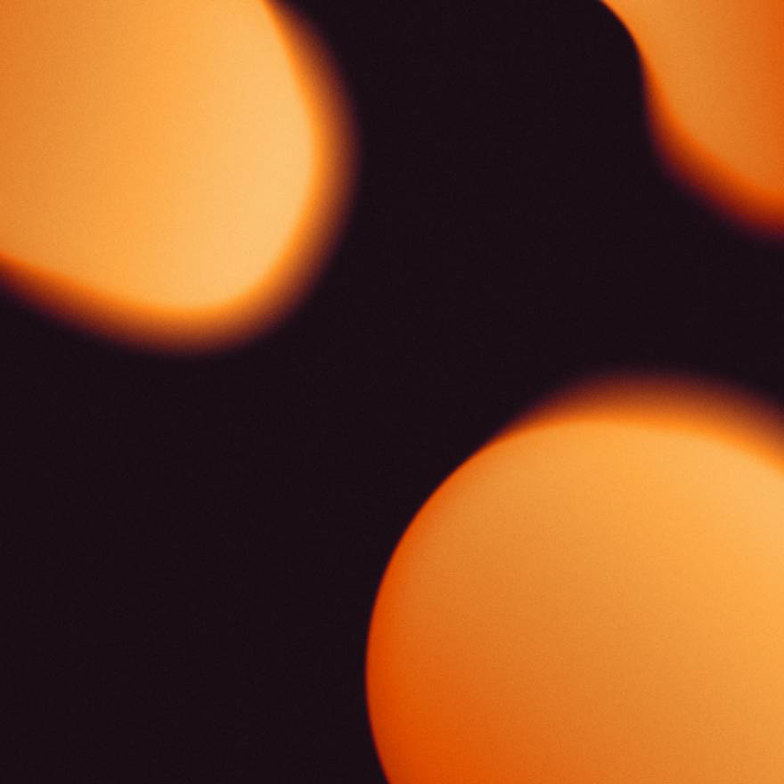 Rendimiento es rentabilidad